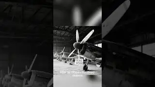 The Fighter Plane That Fought for 40 More Years #truestory #marinemystery #facts #film #history