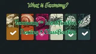 Taxonomy and Systematics -Basic Difference in English | Free Foundation Class Day 6 | RJ Aura Class