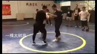 Tai Chi vs Freestyle wrestling 1