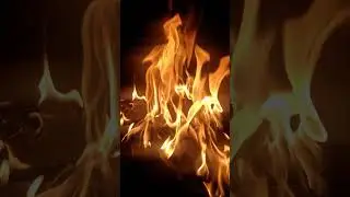Как сделать жизнь легче? #удачныевыходные #жизнь #успех