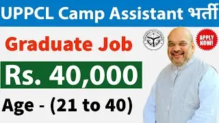 UPPCL Recruitment 2021 | Camp Assistant  | Graduate Jobs | Latest Govt Jobs | Apply Now