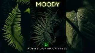 LEAF MOODY PRESET | Lightroom Moody Preset | #lightroom #moodypreset #greenmoodypreset #instagram