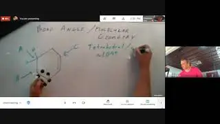 Molecular and Hybridization of Carbons in a Cycloalkene