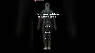 🤔How many vertebrae in c spine ?#cervical #viral #shortsvideo #shortsviral #facts #radiology