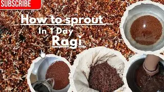 How To Make Ragi Sprouts In 1 Day |Traditional Village Method! # homemadebabyfood # babyfoodrecipes