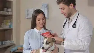 5 Things Dog Owners Must Never Forget!