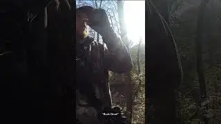 Epic Buck Grunt Leads to Perfect Shot Opportunity! 🦌💥 #deerhunting #hunting #wildlife