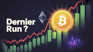 Chronique du Bull Market #04 : Le dernier run avant l&rsquo;euphorie ?