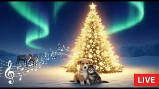Comforting Sleep Music 🐾 Help Dogs Sleep All Night Long