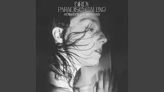 Paradise Calling (Henri Bergmann Remix)