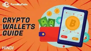 Top beginner-friendly crypto wallets for trading in India, 2024 हिंदी में?