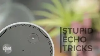 Alexa's skills: Useful, fun or downright dumb?