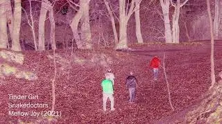Snakedoctors - Tinder Girl (Mellow Joy 2021)