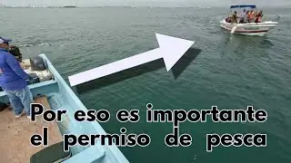 Pesca en Veracruz || porque es importante el permiso de pesca? || nos para conapesca.