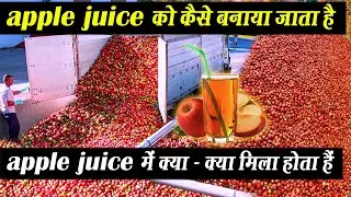 देखिए Factory में Apple Juice कैसे बनाया जाता है | Apple Juice Manufacturing Process | Food Factory