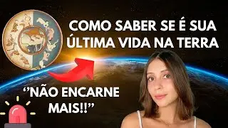 ENCERRE O CICLO DE ENCARNA&Ccedil;&Otilde;ES - A RODA DE SAMSARA | Amanda Avians