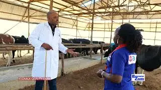 LABBA OBUGAGA OBBULI MU KULUNDA ENTE E ZUNGU