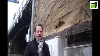 BIZ Koblenz: Das Taubenproblem in Koblenz