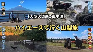 わんこと山梨旅。観光客に撫でて貰ったり…貸し切り？キャンプ場で車中泊したりの盛り沢山！後編
