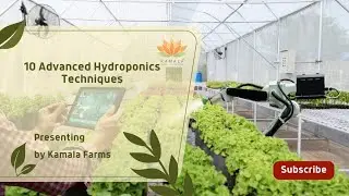 10 Advanced Techniques in Hydroponics || @kamalafarms || Kamala Farms YouTube