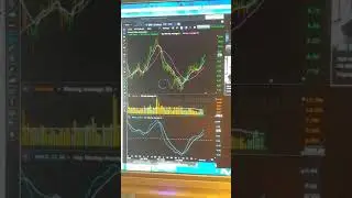 Stock of the day CVE