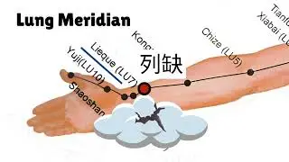 The Lung Meridian Decoded: Remembering Points with Mnemonics  #acupuncturepoints #tcm