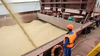 Azov. A ship with grain. Export Wheat, Barley, Corn from Russia.