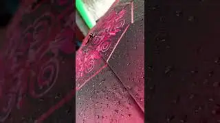 #shorts #youtubeshorts #rain #umbrella #viralvideo #viral #trending #bristyroy33