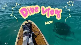 Freediving off paddleboard (silent vlog)