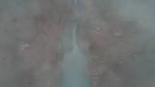 Foggy Lake