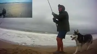 Just a Jacksmelt 🎣🐶😎 9/17/2024
