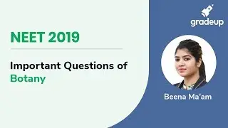 NEET 2019: Most Important Questions of Botany