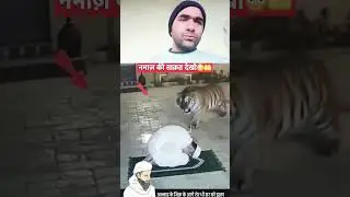 Namaz ki taqat#Islamic Chennal Shams #shorts#reaction video