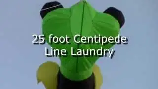 Gomberg Centipede Kite Line Laundry