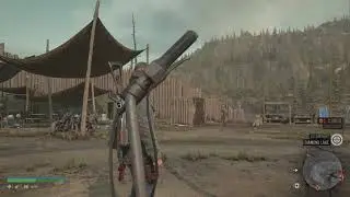 Days Gone Stuttering on PS5