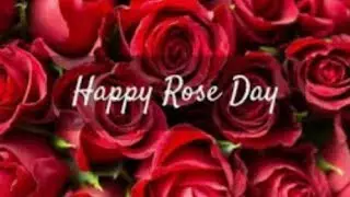 Rose Day status 2021 ||Happy Rose day 2021 |Rose Day whats up status/ Rose day Status Video/Song