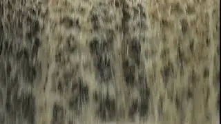 Waterfall Rainow 18 01 2017