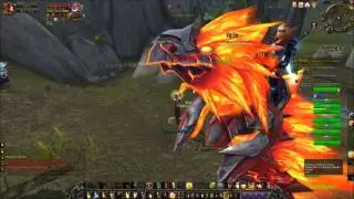 World of Warcraft PVP Level 100 Paladin Resurrection