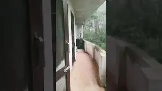 heavy rain fall mandi Himachal Pradesh 7/09/25