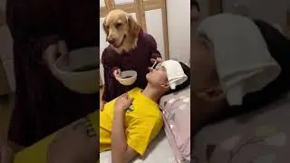 The Dog takes care the man look like the nurse
