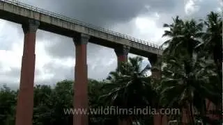 Longest and tallest trough bridge in Asia, in Tamil Nadu