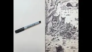 Drawing Wolves
