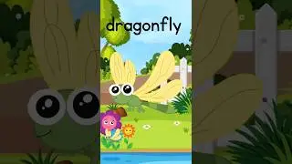 Bugs in the garden, word of the day.. Dragonfly