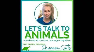 How Developing Your Intuition Can Make You a Better Pet Parent