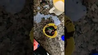 Cake recipe l Yellow Class se seekho aur bhi naye skills l #winiphonewithyc #yellowclass