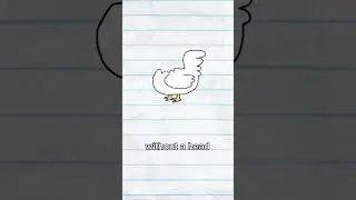 how a headless chicken lived for 18 months