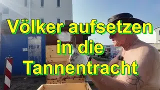 V&ouml;lker aufsetzen in die Tannentracht #wirmachendas