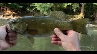 Had a slow day on the river, did catch a few decent smallmouth bass and a couple small pike.