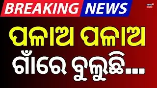 ଗାଁରେ ବୁଲୁଛି, ପଳାଅ ପଳାଅ... Bear attack in Boudh | Bear Terror in Odisha | Odia News | Breaking News
