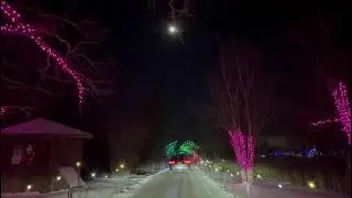 Niagara Safari 2025